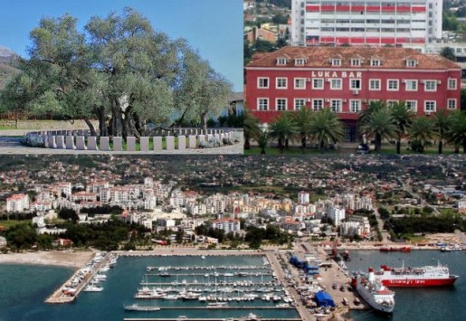 Društvo dobrovoljnih davalaca krvi